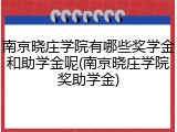 南京晓庄学院有哪些奖学金和助学金呢(南京晓庄学院奖助学金)