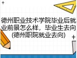 德州职业技术学院毕业后就业前景怎么样，毕业生去向(德州职院就业去向)