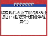 临夏现代职业学院是985还是211(临夏现代职业学院属性)