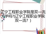 辽宁工程职业学院是双一流大学吗?(辽宁工程职业学院双一流？)