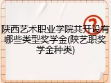 陕西艺术职业学院共开设有哪些类型奖学金(陕艺职奖学金种类)