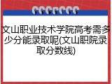 文山职业技术学院高考需多少分能录取呢(文山职院录取分数线)