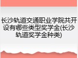 长沙轨道交通职业学院共开设有哪些类型奖学金(长沙轨道奖学金种类)