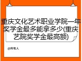 重庆文化艺术职业学院一年奖学金最多能拿多少(重庆艺院奖学金最高额)
