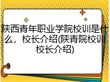 陕西青年职业学院校训是什么，校长介绍(陕青院校训校长介绍)