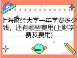 上海财经大学一年学费多少钱，还有哪些费用(上财学费及费用)