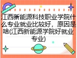 江西新能源科技职业学院什么专业就业比较好，原因是啥(江西新能源学院好就业专业)