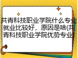 共青科技职业学院什么专业就业比较好，原因是啥(共青科技职业学院优势专业)