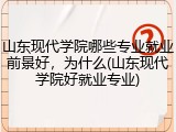 山东现代学院哪些专业就业前景好，为什么(山东现代学院好就业专业)
