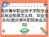 重庆青年职业技术学院毕业后就业前景怎么样，毕业生去向(重庆青年职院就业去向)