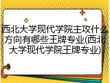 西北大学现代学院主攻什么方向有哪些王牌专业(西北大学现代学院王牌专业)