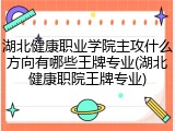 湖北健康职业学院主攻什么方向有哪些王牌专业(湖北健康职院王牌专业)
