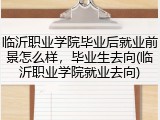临沂职业学院毕业后就业前景怎么样，毕业生去向(临沂职业学院就业去向)