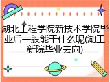 湖北工程学院新技术学院毕业后一般能干什么呢(湖工新院毕业去向)