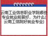 云南工业信息职业学院哪些专业就业前景好，为什么(云南工信院好就业专业)