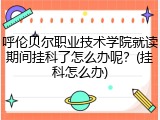 呼伦贝尔职业技术学院就读期间挂科了怎么办呢？(挂科怎么办)