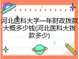 河北医科大学一年财政拨款大概多少钱(河北医科大拨款多少)