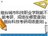 烟台城市科技职业学院能不能考研，成绩在哪里查询(烟台科技考研成绩查询)