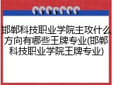 邯郸科技职业学院主攻什么方向有哪些王牌专业(邯郸科技职业学院王牌专业)