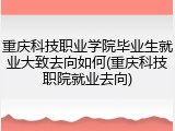 重庆科技职业学院毕业生就业大致去向如何(重庆科技职院就业去向)