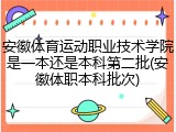 安徽体育运动职业技术学院是一本还是本科第二批(安徽体职本科批次)