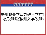 梧州职业学院办理入学有什么攻略没(梧州入学攻略)