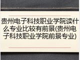 贵州电子科技职业学院读什么专业比较有前景(贵州电子科技职业学院前景专业)