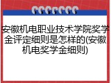 安徽机电职业技术学院奖学金评定细则是怎样的(安徽机电奖学金细则)
