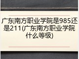 广东南方职业学院是985还是211(广东南方职业学院什么等级)