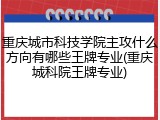 重庆城市科技学院主攻什么方向有哪些王牌专业(重庆城科院王牌专业)
