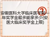 安徽医科大学临床医学院一年奖学金最多能拿多少(安医大临床奖学金上限)