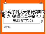 桂林电子科技大学就读期间可以申请哪些奖学金(桂电就读奖学金)