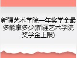 新疆艺术学院一年奖学金最多能拿多少(新疆艺术学院奖学金上限)