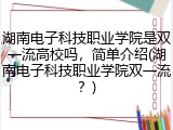 湖南电子科技职业学院是双一流高校吗，简单介绍(湖南电子科技职业学院双一流？)