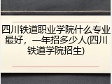 四川铁道职业学院什么专业最好，一年招多少人(四川铁道学院招生)