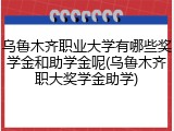 乌鲁木齐职业大学有哪些奖学金和助学金呢(乌鲁木齐职大奖学金助学)