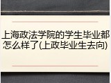 上海政法学院的学生毕业都怎么样了(上政毕业生去向)