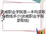 武威职业学院是一本吗录取分数线多少(武威职业学院录取线)