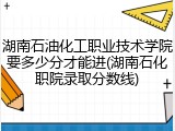 湖南石油化工职业技术学院要多少分才能进(湖南石化职院录取分数线)