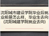 沈阳城市建设学院毕业后就业前景怎么样，毕业生去向(沈阳城建学院就业去向)