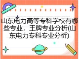 山东电力高等专科学校有哪些专业，王牌专业分析(山东电力专科专业分析)
