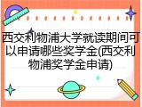 西交利物浦大学就读期间可以申请哪些奖学金(西交利物浦奖学金申请)