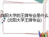 沈阳大学的王牌专业是什么(沈阳大学王牌专业)