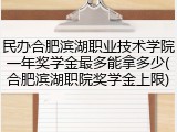 民办合肥滨湖职业技术学院一年奖学金最多能拿多少(合肥滨湖职院奖学金上限)