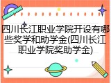 四川长江职业学院开设有哪些奖学和助学金(四川长江职业学院奖助学金)