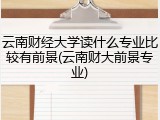 云南财经大学读什么专业比较有前景(云南财大前景专业)
