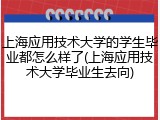 上海应用技术大学的学生毕业都怎么样了(上海应用技术大学毕业生去向)