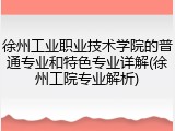 徐州工业职业技术学院的普通专业和特色专业详解(徐州工院专业解析)