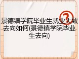 景德镇学院毕业生就业大致去向如何(景德镇学院毕业生去向)