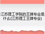 江苏理工学院的王牌专业是什么(江苏理工王牌专业)